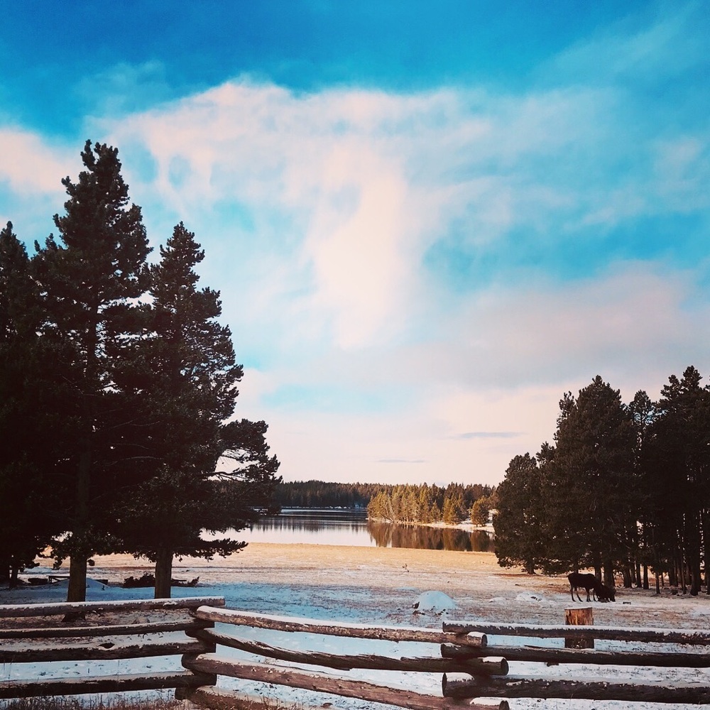 Meet your Posher, Lorranda